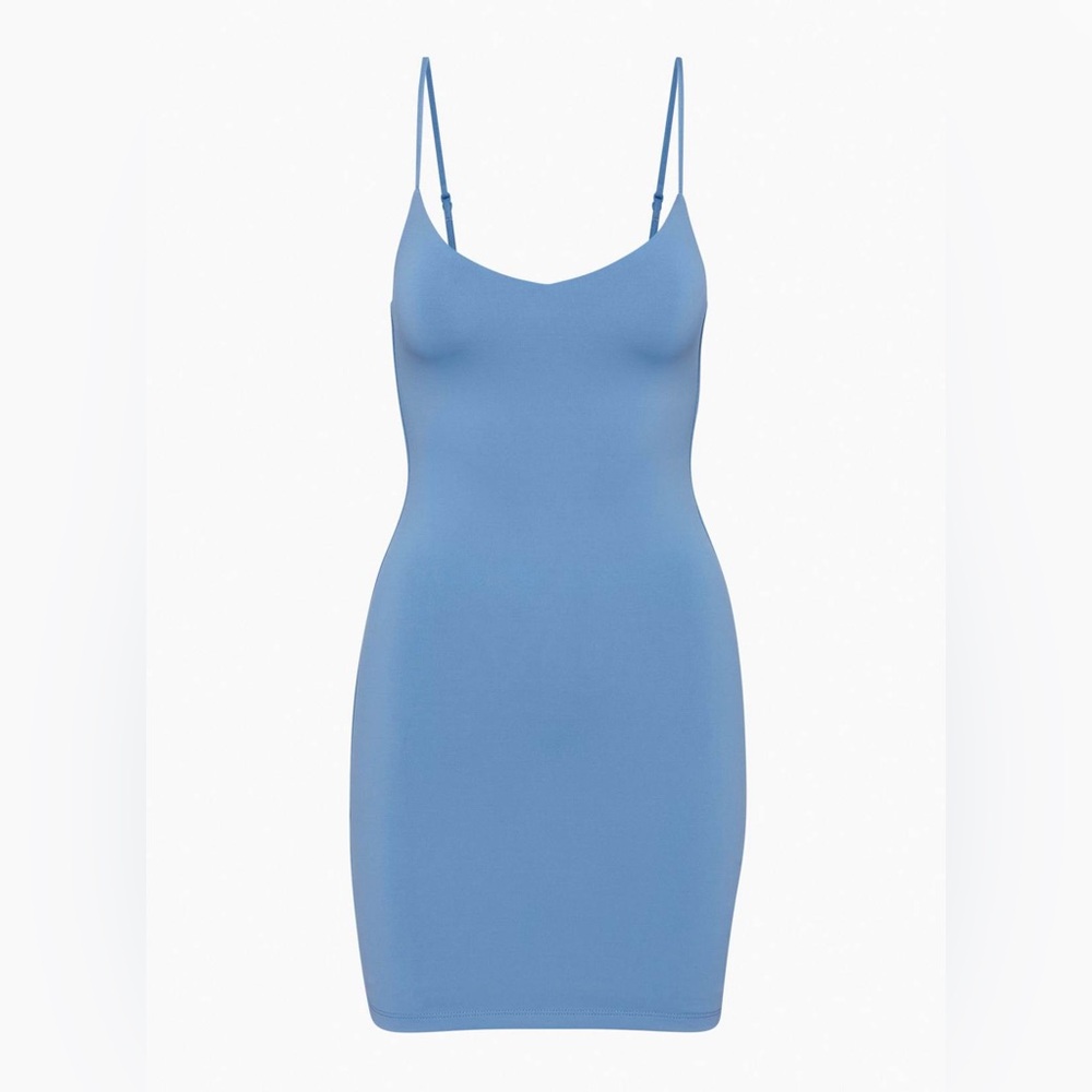 Aritzia Babaton mini dress